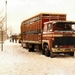 Slange in de sneeuw