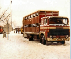 Slange in de sneeuw