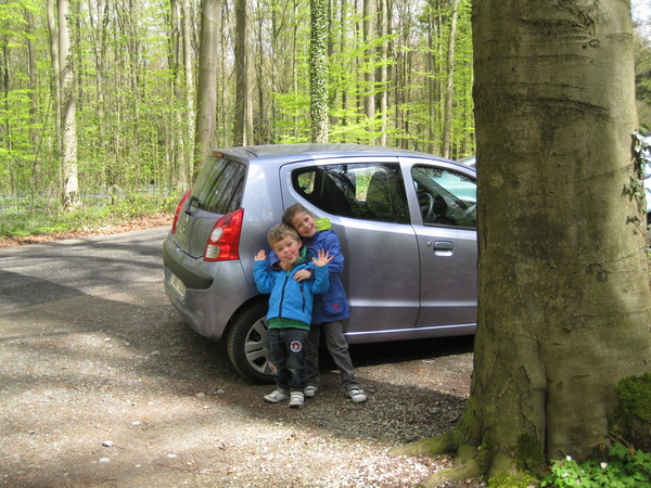 10) In het Hallerbos