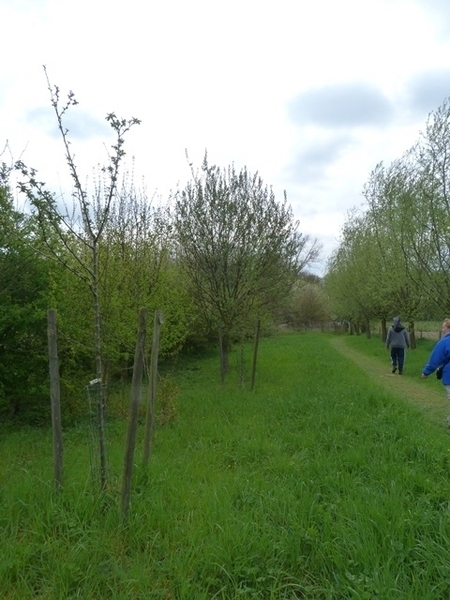 30-Koesterburenpad is een wandelpad van 600m.lang