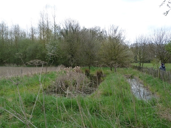 31-Koesterburenpad in natuurgebied de Birrebeekvallei