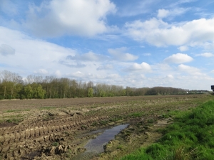 2013-04-28 Nieuwenrode 011