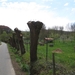 2013-04-28 Brakel 008