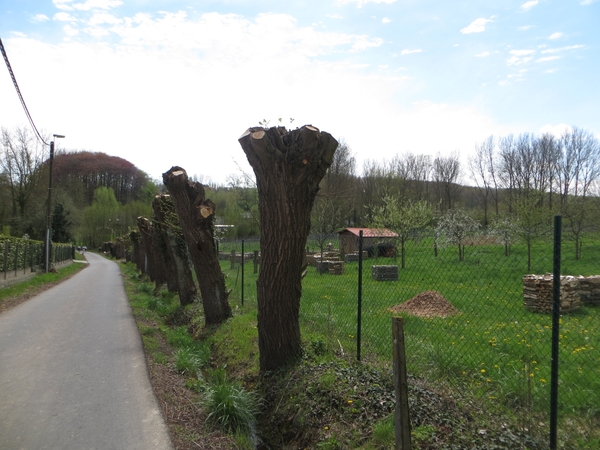 2013-04-28 Brakel 008