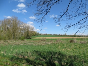 2013-04-28 Brakel 030