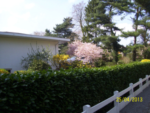 Wandeling naar Hombeek - 25 april 2013