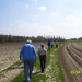 Wandeling naar Hombeek - 25 april 2013