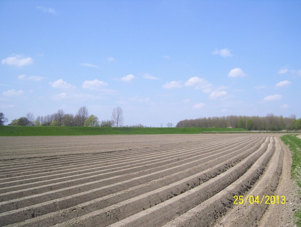 Wandeling naar Hombeek - 25 april 2013