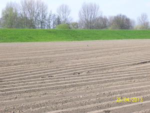 Wandeling naar Hombeek - 25 april 2013