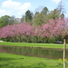 Wandeling naar Hombeek - 25 april 2013