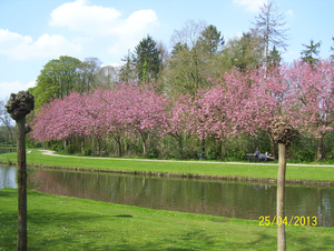 Wandeling naar Hombeek - 25 april 2013