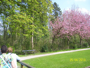 Wandeling naar Hombeek - 25 april 2013