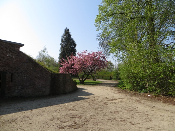 2013-05-01  Dendermonde 015