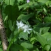 DSC00338