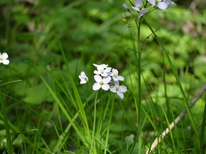 DSC00340