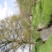 DSC00343