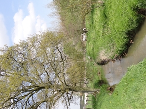 DSC00343