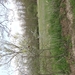 DSC00351