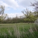 DSC00352