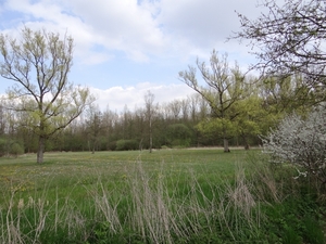 DSC00352