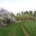 DSC00295