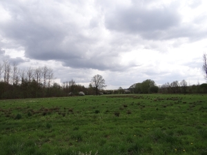 DSC00302