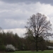 DSC00303