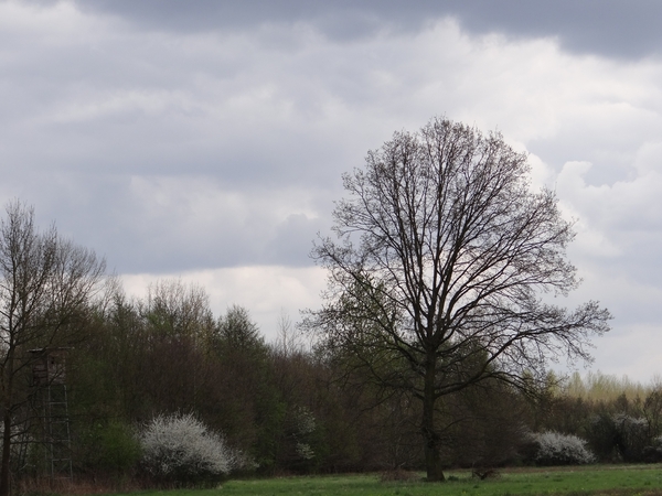 DSC00303