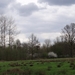 DSC00304