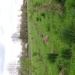 DSC00306