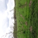 DSC00307