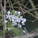 DSC00308