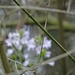 DSC00309