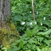 DSC00310
