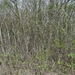 DSC00315