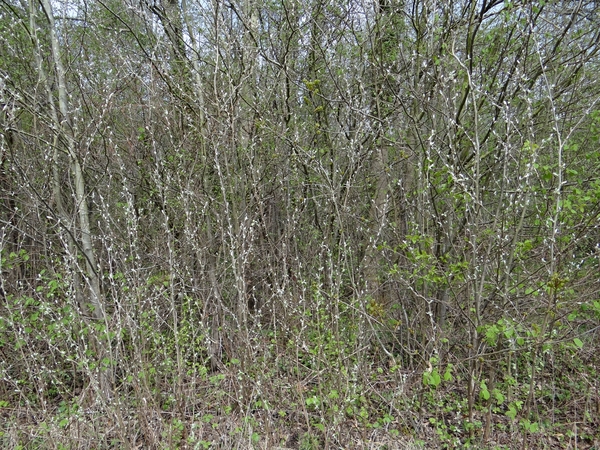 DSC00315