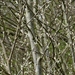 DSC00316