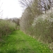 DSC00317