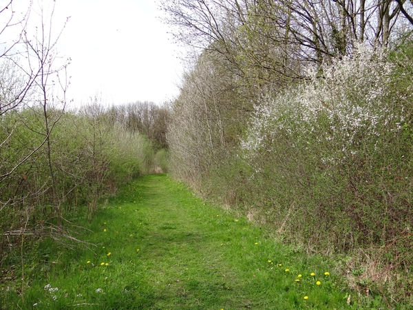 DSC00317