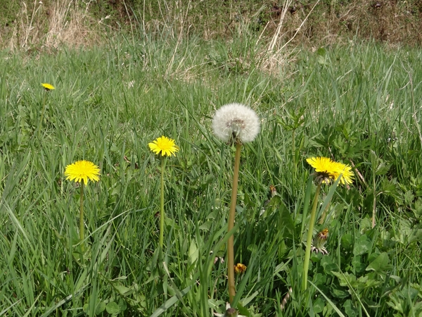 DSC00322