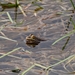 DSC00325