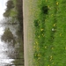 DSC00328