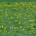 DSC00330