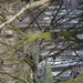 DSC00161