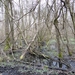 DSC00162