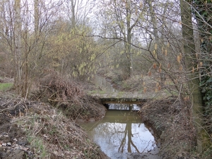 DSC00165