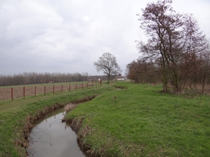 DSC00172