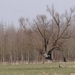 DSC00260