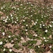 DSC00261