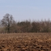 DSC00269